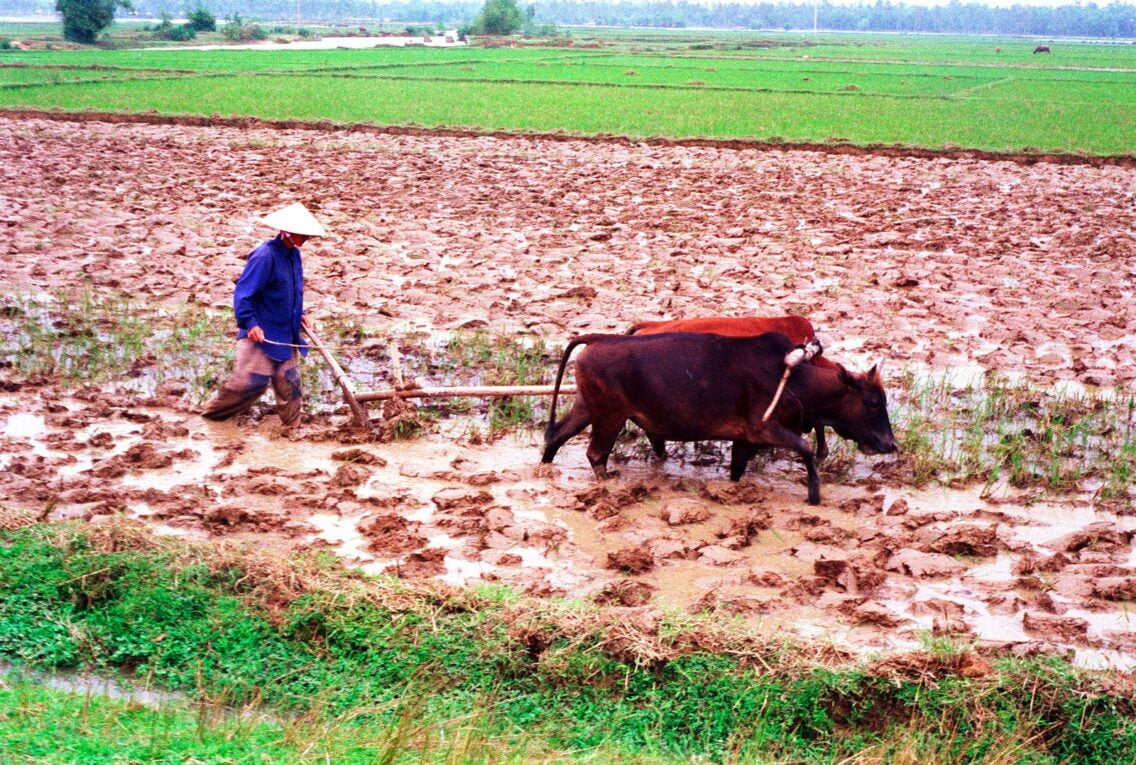 Fotografie-Nostalgie 1974 – 2000