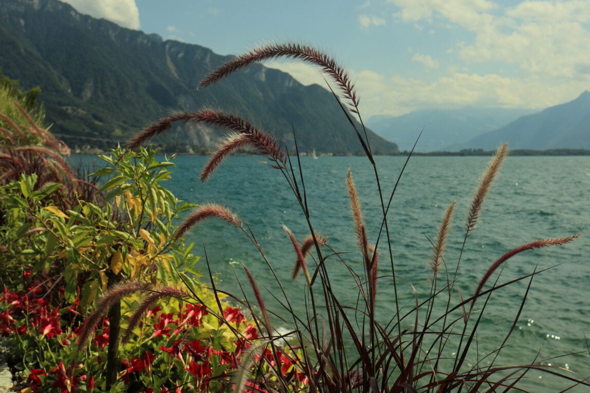 Ausflug an den Genfersee